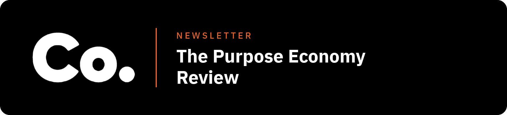 Newsletter The Purpose Economy Review