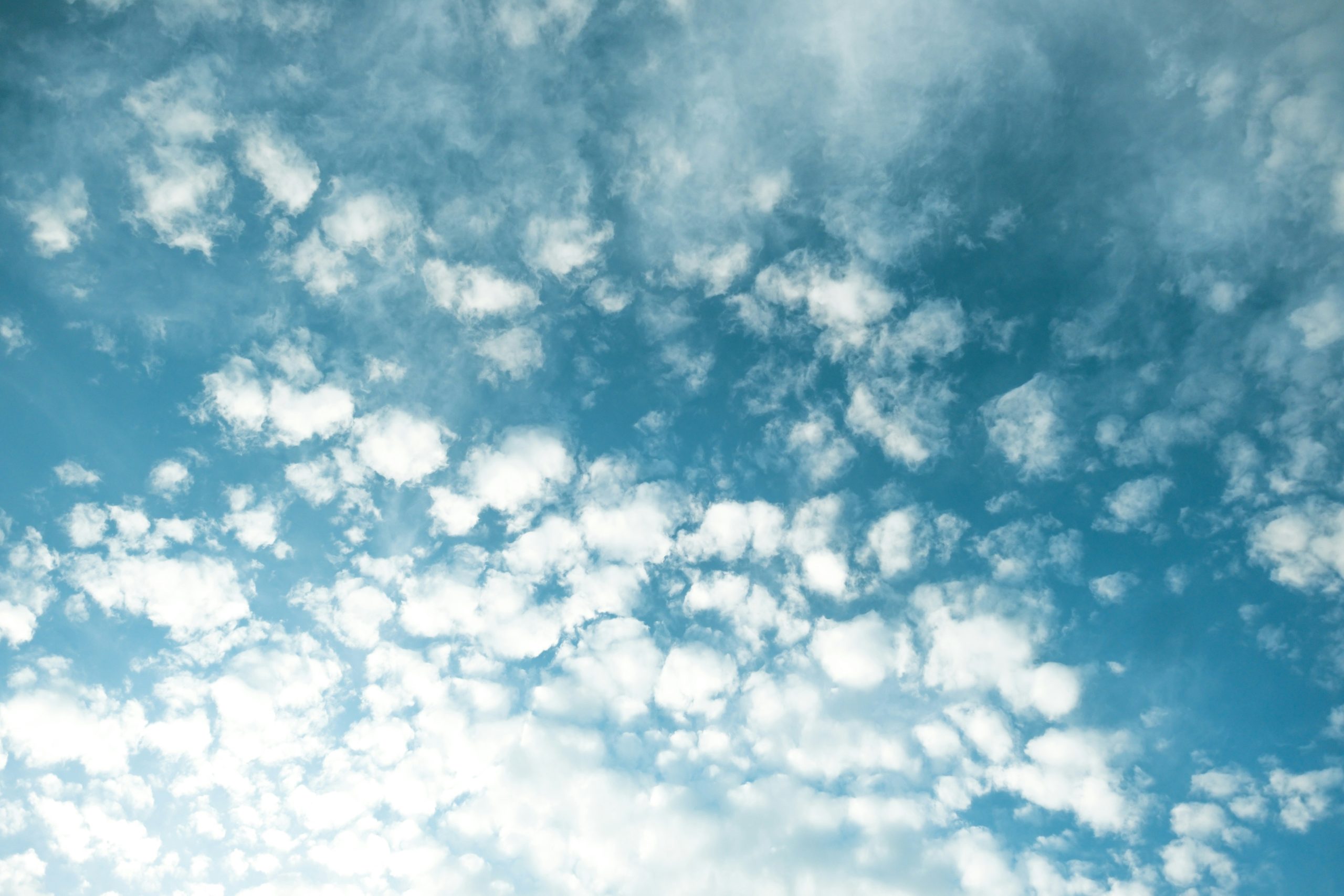 Breathe: Purpose at Work and the Question We Avoid